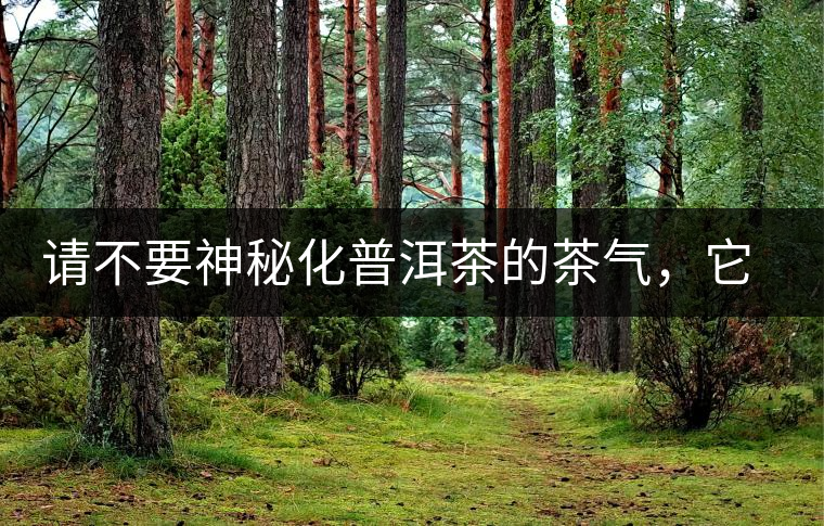 請不要神秘化普洱茶的茶氣，它是科學的存在