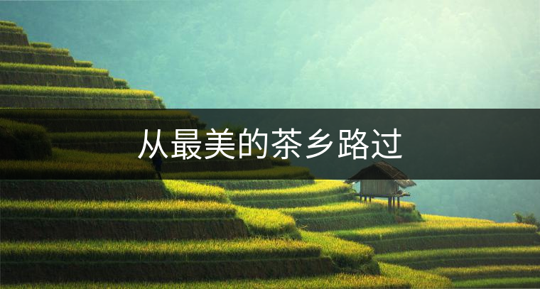 從最美的茶鄉(xiāng)路過(guò) 從最美的茶鄉(xiāng)路過(guò)