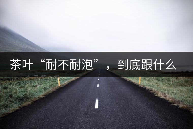 茶葉“耐不耐泡”，到底跟什么有關？