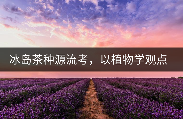 冰島茶種源流考，以植物學(xué)觀點(diǎn)解讀冰島茶