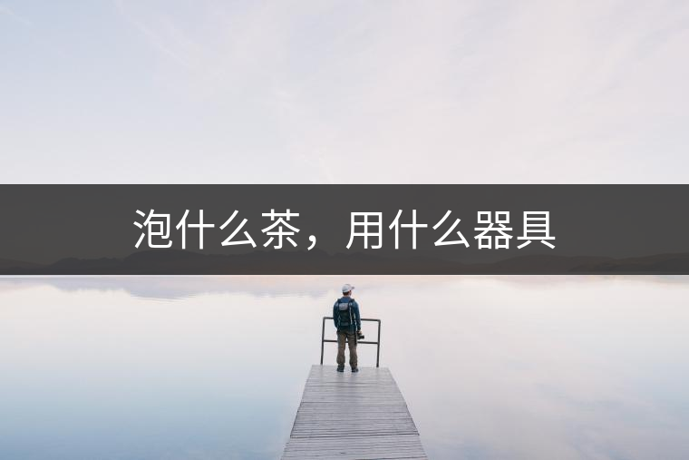 泡什么茶，用什么器具