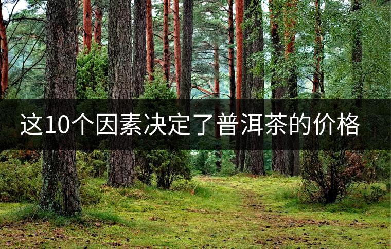 這10個(gè)因素決定了普洱茶的價(jià)格？