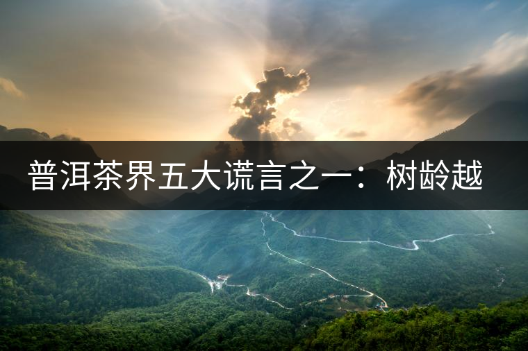 普洱茶界五大謊言之一：樹齡越高，品質(zhì)越好