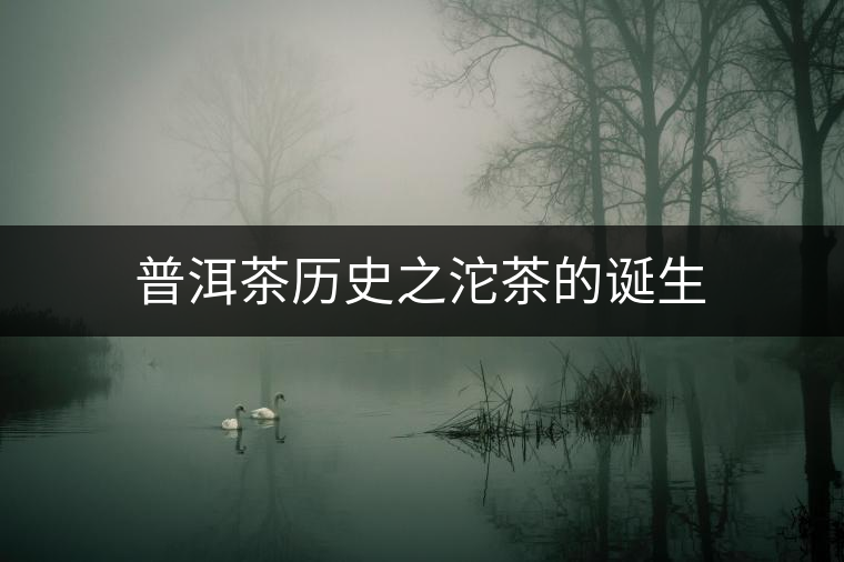 普洱茶歷史之沱茶的誕生