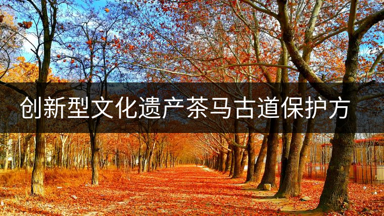 創(chuàng)新型文化遺產(chǎn)茶馬古道保護方式更加完善