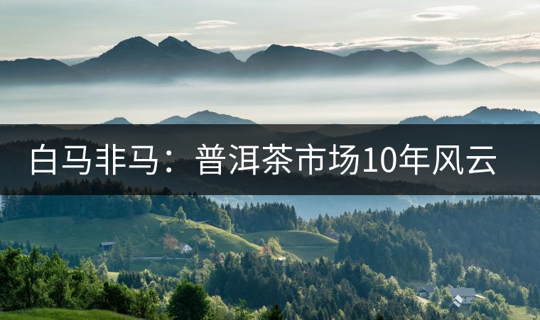 白馬非馬:普洱茶市場10年風(fēng)云錄 白馬非馬:普洱茶市場10年風(fēng)云錄