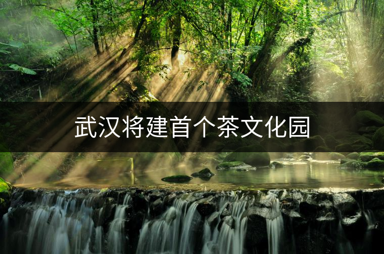 武漢將建首個(gè)茶文化園 武漢將建首個(gè)茶文化園