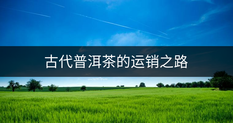 古代普洱茶的運(yùn)銷之路 古代普洱茶的運(yùn)銷之路