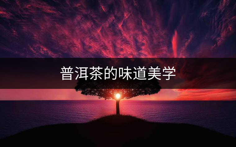 普洱茶的味道美學(xué) 普洱茶的味道美學(xué)