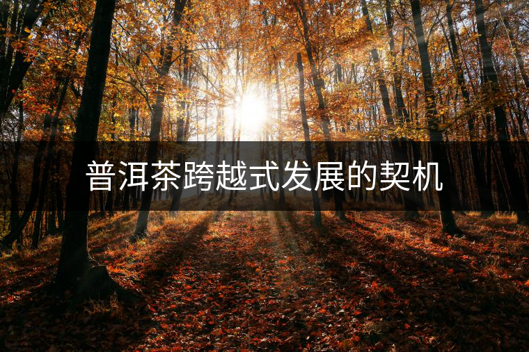 普洱茶跨越式發(fā)展的契機 普洱茶跨越式發(fā)展的契機