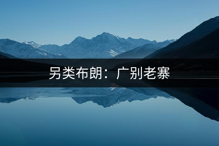 另類(lèi)布朗:廣別老寨 另類(lèi)布朗:廣別老寨