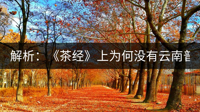 解析：《茶經(jīng)》上為何沒有云南普洱茶 ？