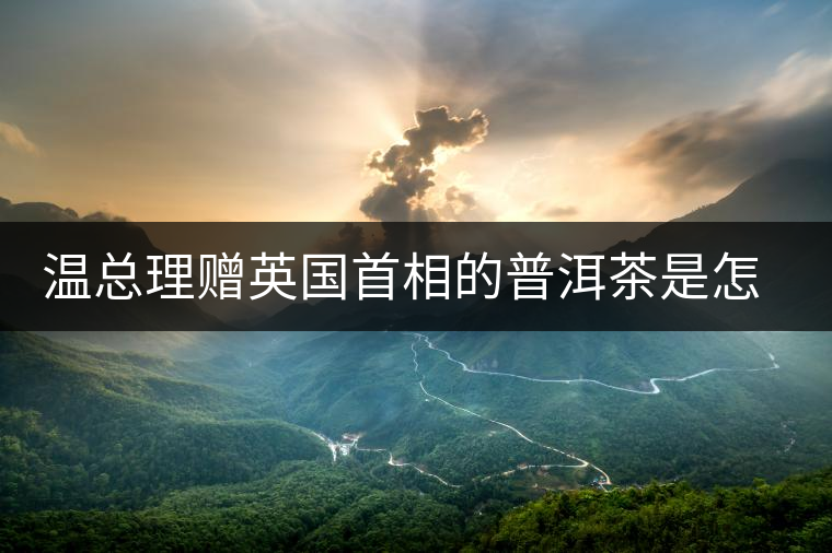 溫總理贈(zèng)英國(guó)首相的普洱茶是怎么制作的？