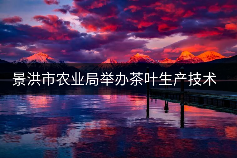 景洪市農(nóng)業(yè)局舉辦茶葉生產(chǎn)技術(shù)培訓(xùn) 景洪市農(nóng)業(yè)局舉辦茶葉生產(chǎn)技術(shù)培訓(xùn)