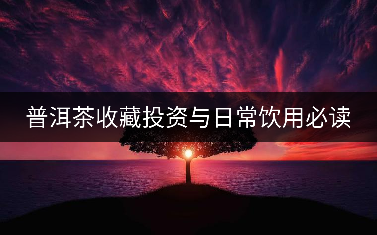 普洱茶收藏投資與日常飲用必讀