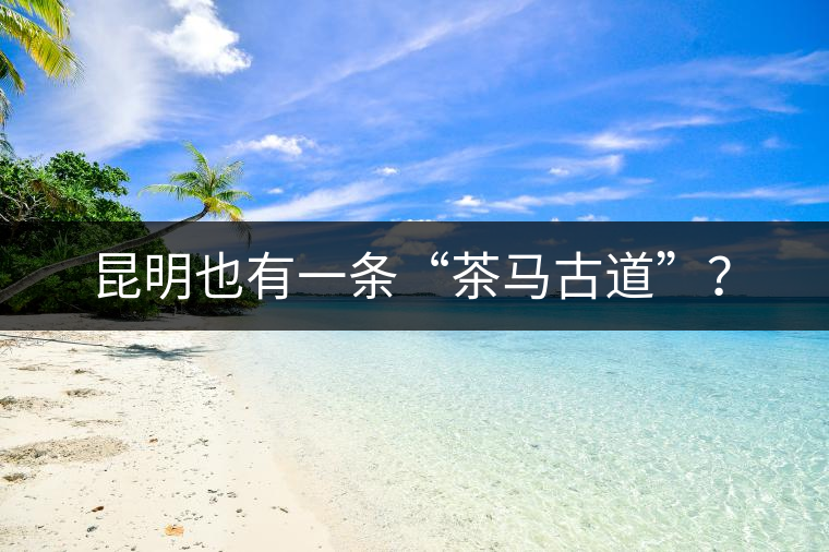 昆明也有一條“茶馬古道”？