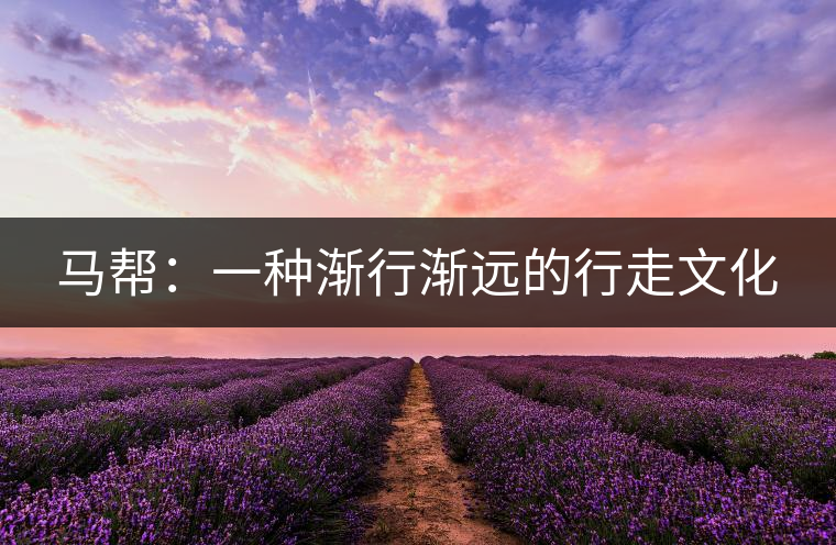 馬幫：一種漸行漸遠的行走文化