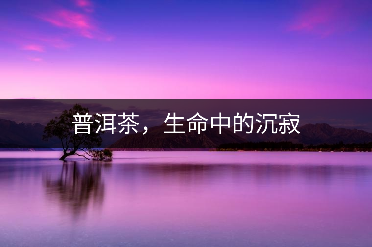 普洱茶，生命中的沉寂