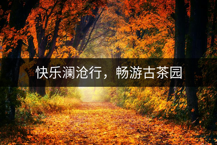 快樂瀾滄行，暢游古茶園