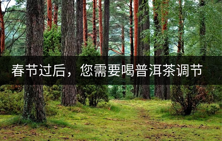 春節(jié)過(guò)后,您需要喝普洱茶調(diào)節(jié)身體 春節(jié)過(guò)后,您需要喝普洱茶調(diào)節(jié)身體
