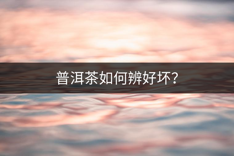 普洱茶如何辨好壞？