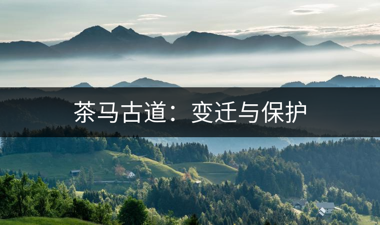 茶馬古道:變遷與保護(hù) 茶馬古道:變遷與保護(hù)