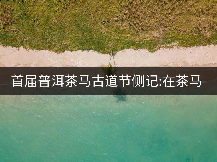 首屆普洱茶馬古道節(jié)側(cè)記:在茶馬古道起始的地方 首屆普洱茶馬古道節(jié)側(cè)記:在茶馬古道起始的地方