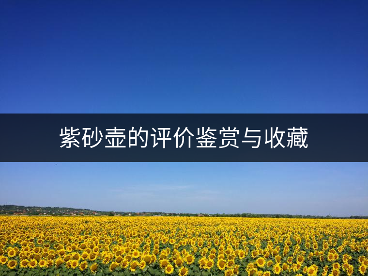 紫砂壺的評價鑒賞與收藏 紫砂壺的評價鑒賞與收藏