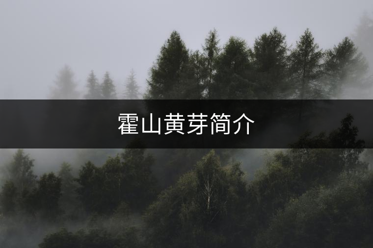 霍山黃芽簡介 霍山黃芽簡介