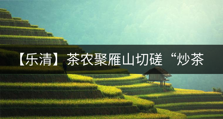 【樂清】茶農(nóng)聚雁山切磋“炒茶功” 【樂清】茶農(nóng)聚雁山切磋“炒茶功”