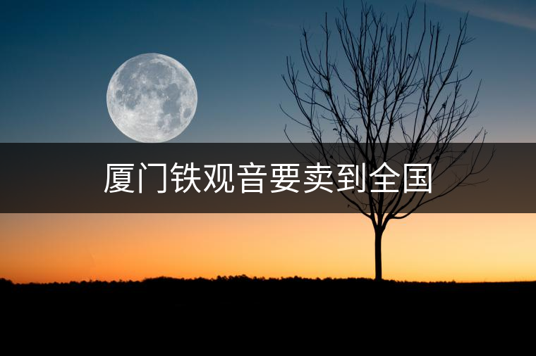 廈門鐵觀音要賣到全國 廈門鐵觀音要賣到全國