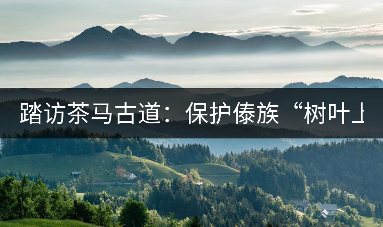 踏訪茶馬古道：保護傣族“樹葉上的文明”