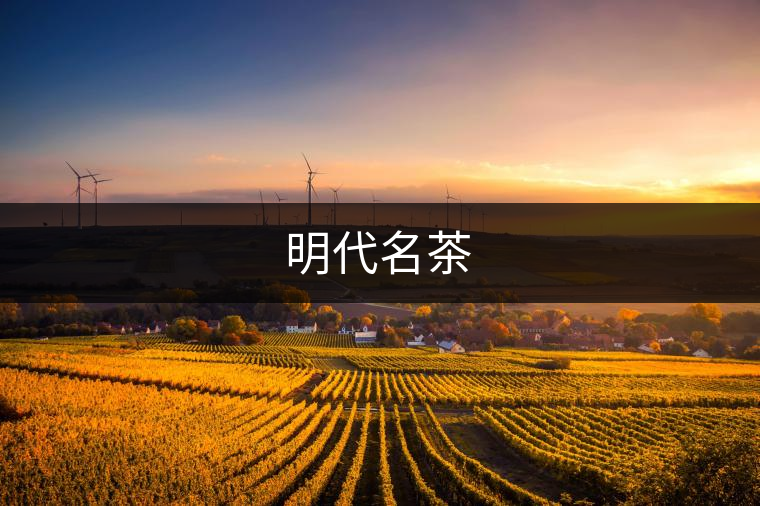 明代名茶