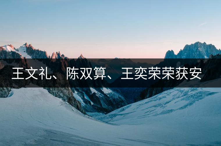 王文禮、陳雙算、王奕榮榮獲安溪茶界三杰