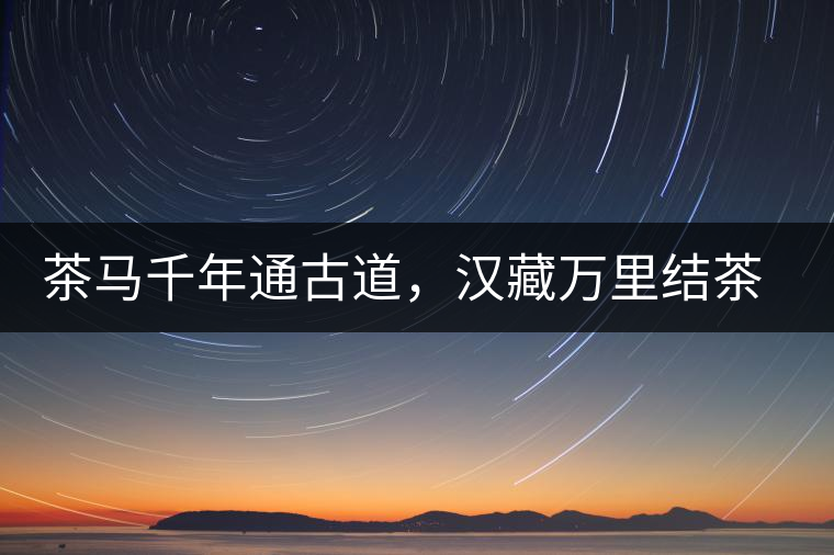 茶馬千年通古道，漢藏萬里結(jié)茶緣