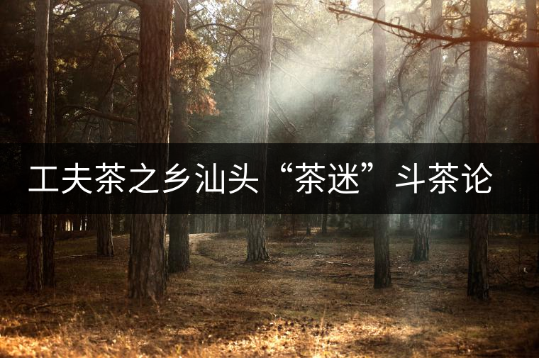 工夫茶之鄉(xiāng)汕頭“茶迷”斗茶論道