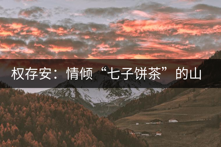 權(quán)存安:情傾“七子餅茶”的山里人 權(quán)存安:情傾“七子餅茶”的山里人