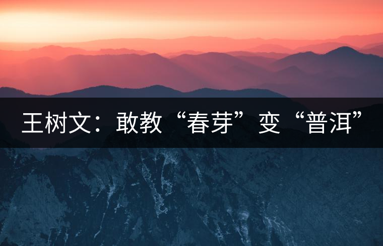 王樹(shù)文:敢教“春芽”變“普洱” 王樹(shù)文:敢教“春芽”變“普洱”