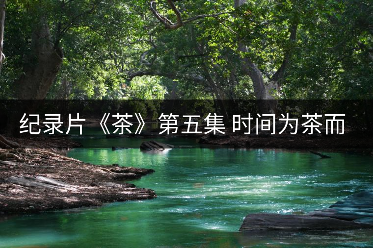 紀(jì)錄片《茶》第五集 時(shí)間為茶而停下 紀(jì)錄片《茶》第五集 時(shí)間為茶而停下