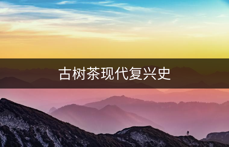 古樹茶現(xiàn)代復(fù)興史