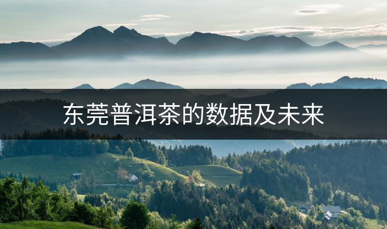 東莞普洱茶的數(shù)據(jù)及未來(lái)