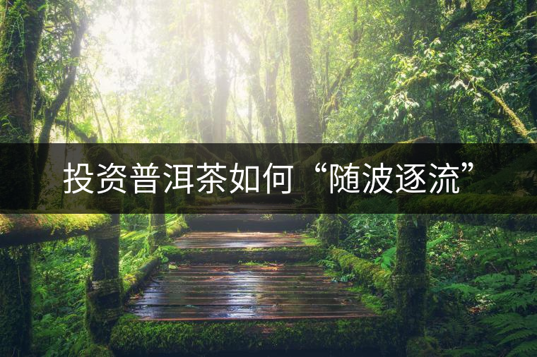 投資普洱茶如何“隨波逐流” 投資普洱茶如何“隨波逐流”