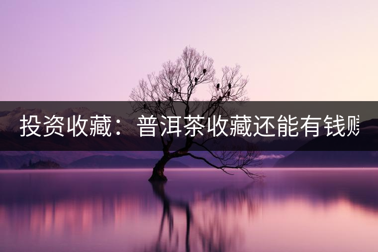 投資收藏：普洱茶收藏還能有錢(qián)賺嗎？