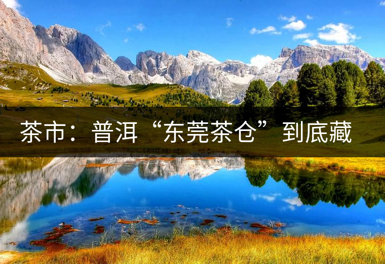茶市：普洱“東莞茶倉”到底藏給誰喝？