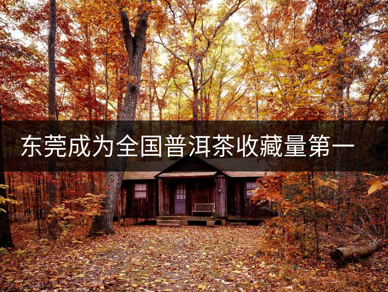 東莞成為全國普洱茶收藏量第一位的城市？