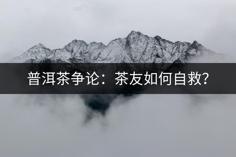 普洱茶爭(zhēng)論：茶友如何自救？