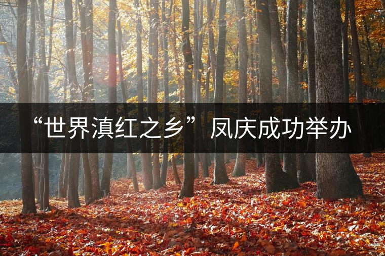 “世界滇紅之鄉(xiāng)”鳳慶成功舉辦茶文化藝術(shù)節(jié) “世界滇紅之鄉(xiāng)”鳳慶成功舉辦茶文化藝術(shù)節(jié)