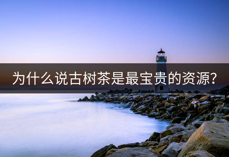 為什么說古樹茶是最寶貴的資源？