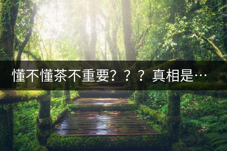 懂不懂茶不重要？？？真相是……