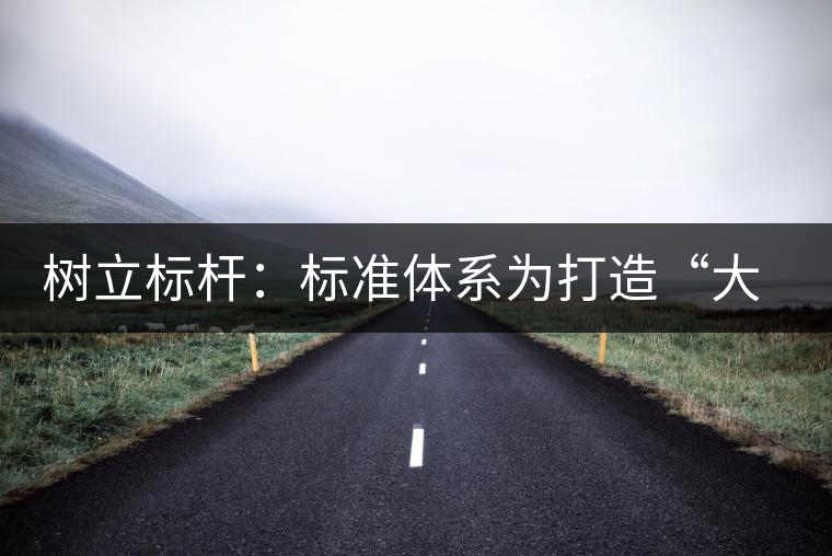 樹立標(biāo)桿:標(biāo)準(zhǔn)體系為打造“大景邁”品牌保駕護(hù)航 樹立標(biāo)桿:標(biāo)準(zhǔn)體系為打造“大景邁”品牌保駕護(hù)航